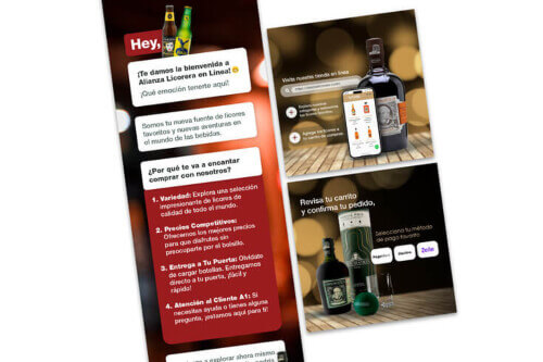 Proyecto de marketing digital para alianza licorera